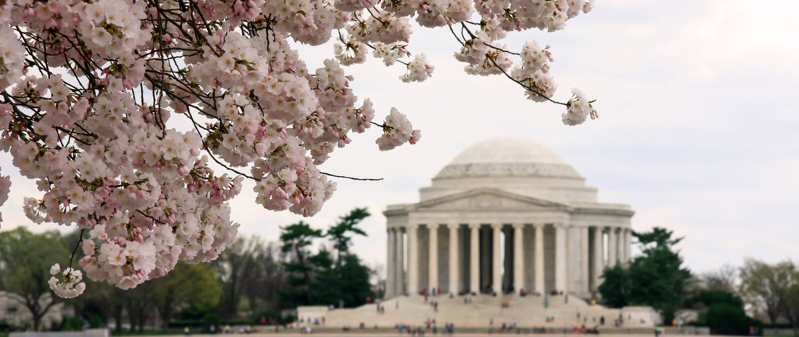 Tiber Creek’s Spring Outlook Memo Feature Image